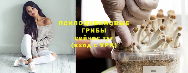 ECSTASY Аркадак