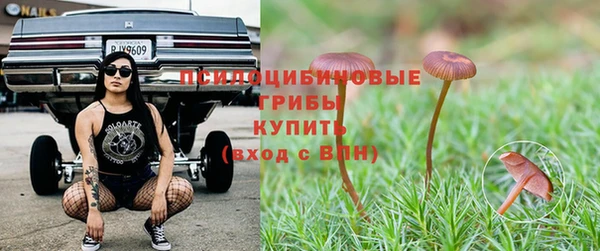 гашишное масло Гусев