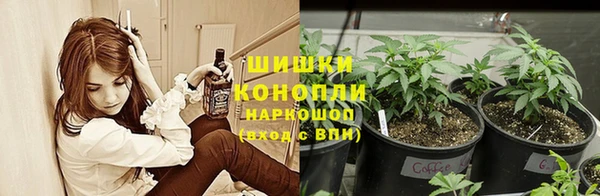 ECSTASY Аркадак