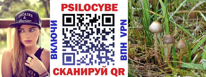 Галлюциногенные грибы Magic Shrooms  Поронайск 